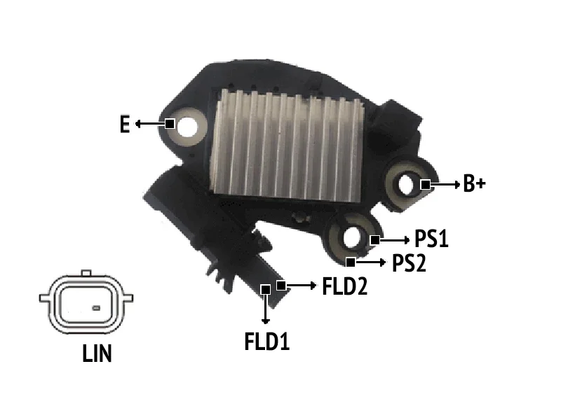 RNV 618689          